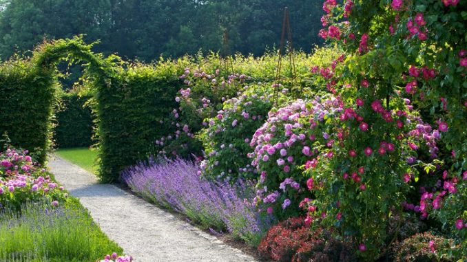 Jardins Sans Limites Garten Ohne Grenzen Das Hochzeitsmagazin Fur Unsere Region